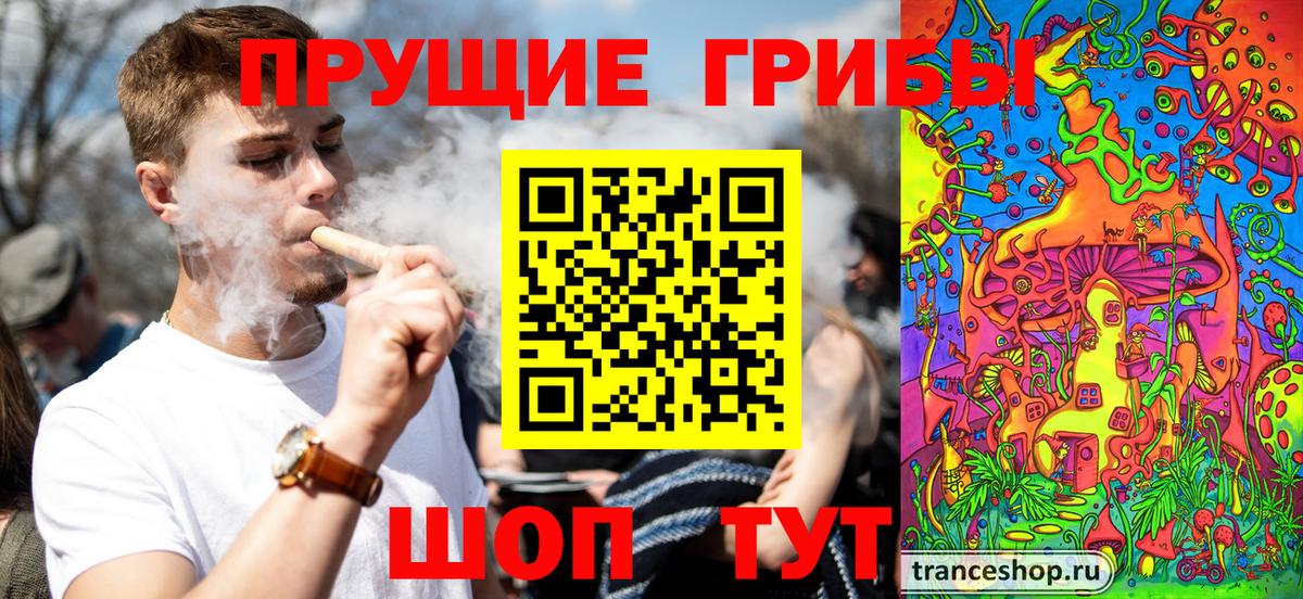 Галлюциногенные грибы Magic Shrooms Карталы